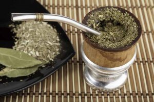 Yerba Mate Benefits