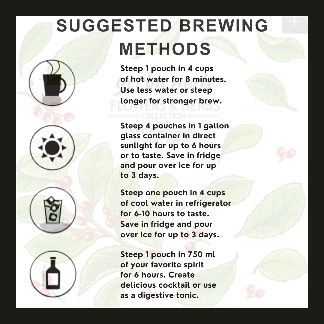 Mountain Mint - Yerba Mate Tea Bags
