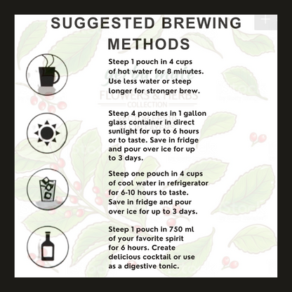 Mountain Mint - Yerba Mate Tea Bags